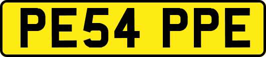 PE54PPE