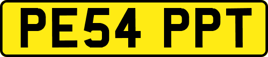 PE54PPT