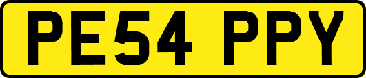 PE54PPY