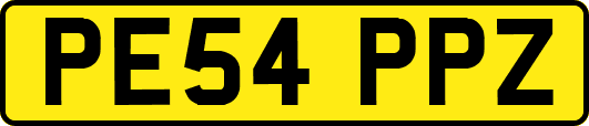 PE54PPZ