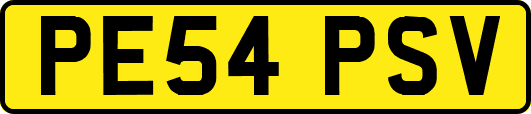 PE54PSV