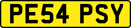 PE54PSY