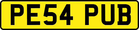 PE54PUB