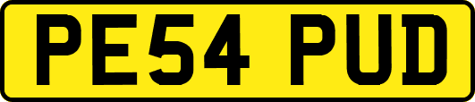 PE54PUD