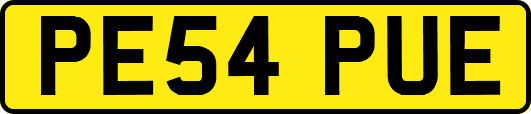 PE54PUE