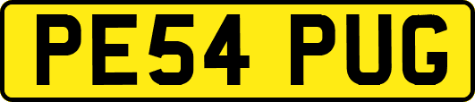 PE54PUG