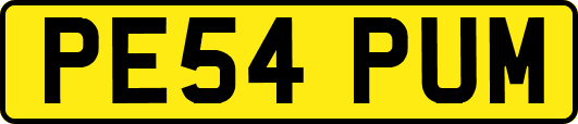 PE54PUM
