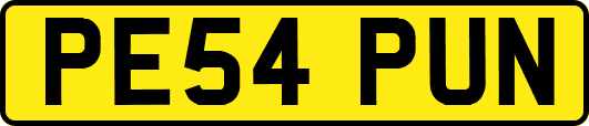PE54PUN
