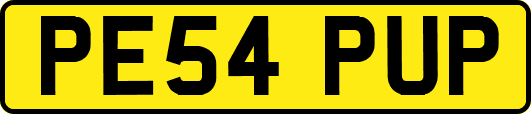 PE54PUP