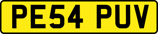 PE54PUV