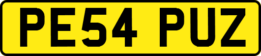 PE54PUZ
