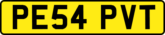PE54PVT