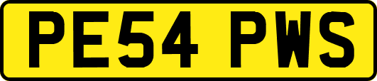 PE54PWS