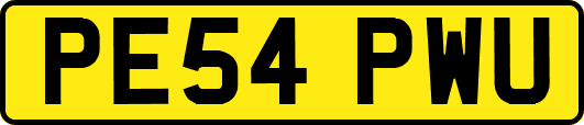 PE54PWU