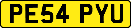PE54PYU