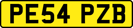 PE54PZB