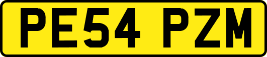 PE54PZM