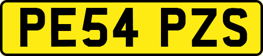 PE54PZS