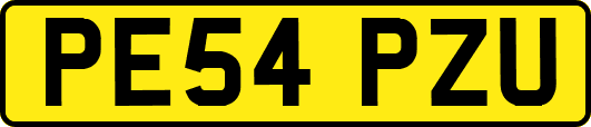 PE54PZU