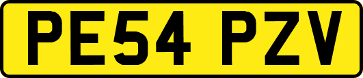 PE54PZV