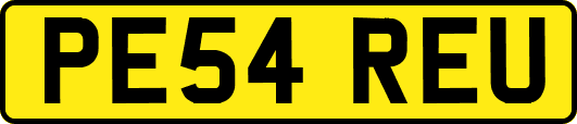 PE54REU