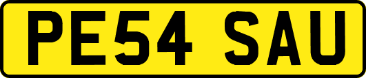PE54SAU