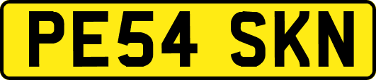 PE54SKN