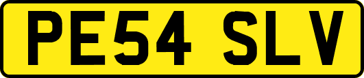 PE54SLV
