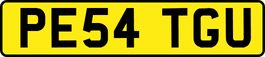 PE54TGU