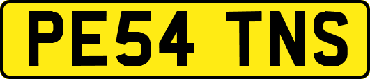 PE54TNS