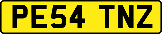PE54TNZ