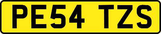 PE54TZS