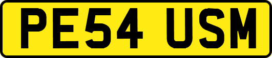 PE54USM