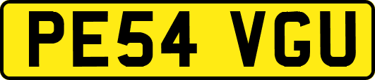 PE54VGU