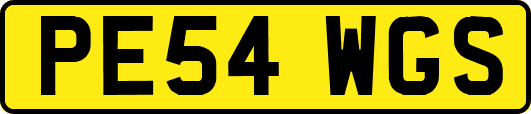 PE54WGS