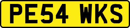 PE54WKS