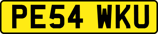 PE54WKU