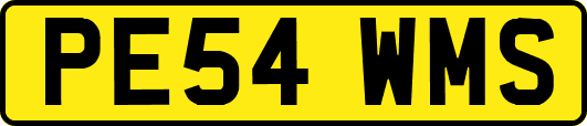 PE54WMS