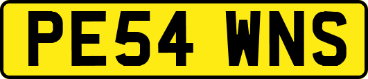 PE54WNS