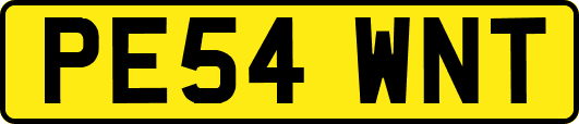 PE54WNT