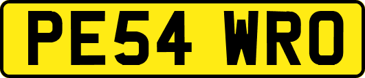 PE54WRO