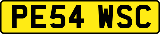 PE54WSC