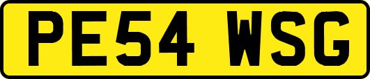 PE54WSG