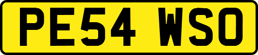PE54WSO