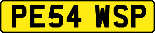PE54WSP