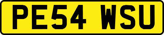 PE54WSU