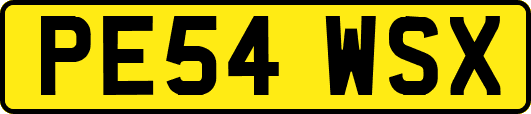 PE54WSX