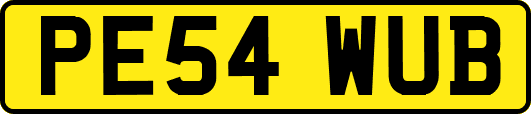PE54WUB