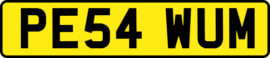 PE54WUM