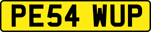 PE54WUP